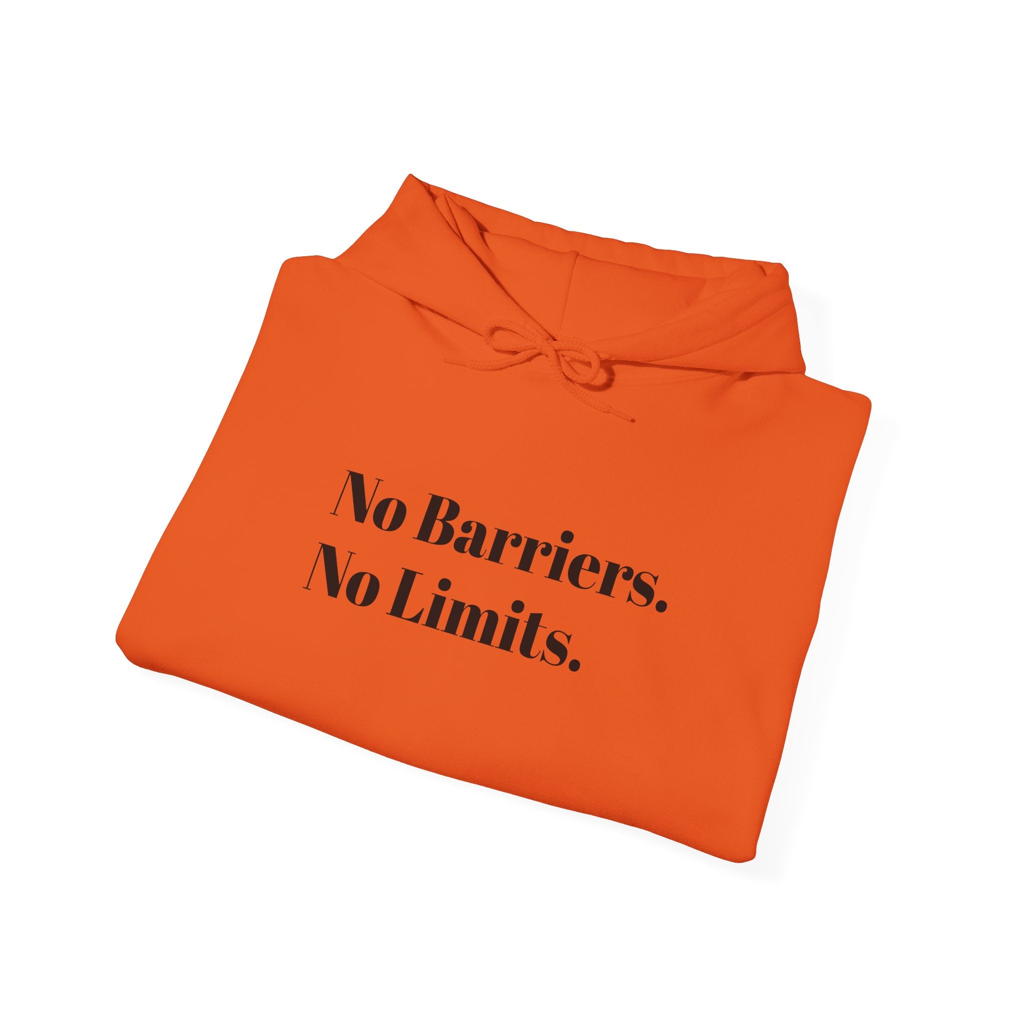 No Barriers. No Limits. Hoodie - Motivational Minimalist White Pullover