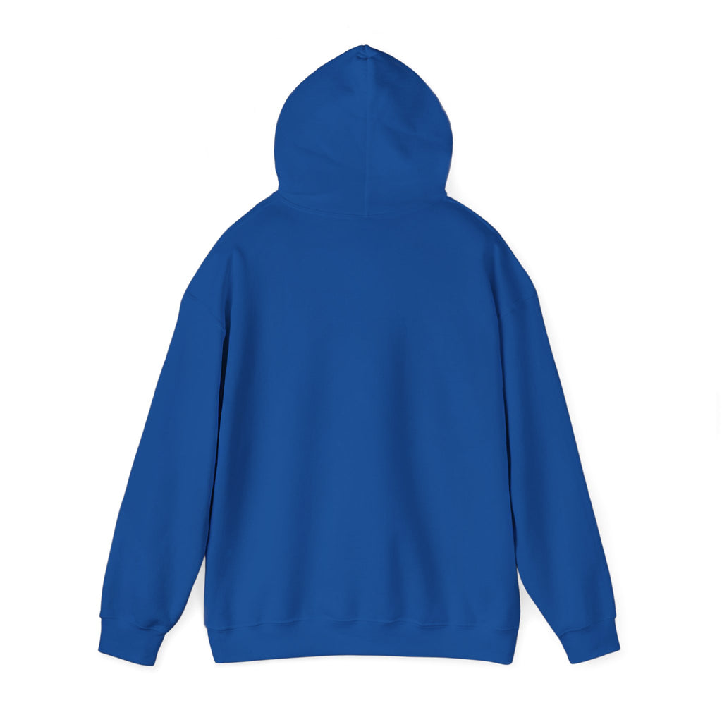Different Is Not Less Hoodie, Inspirational Disability Awareness Pullover