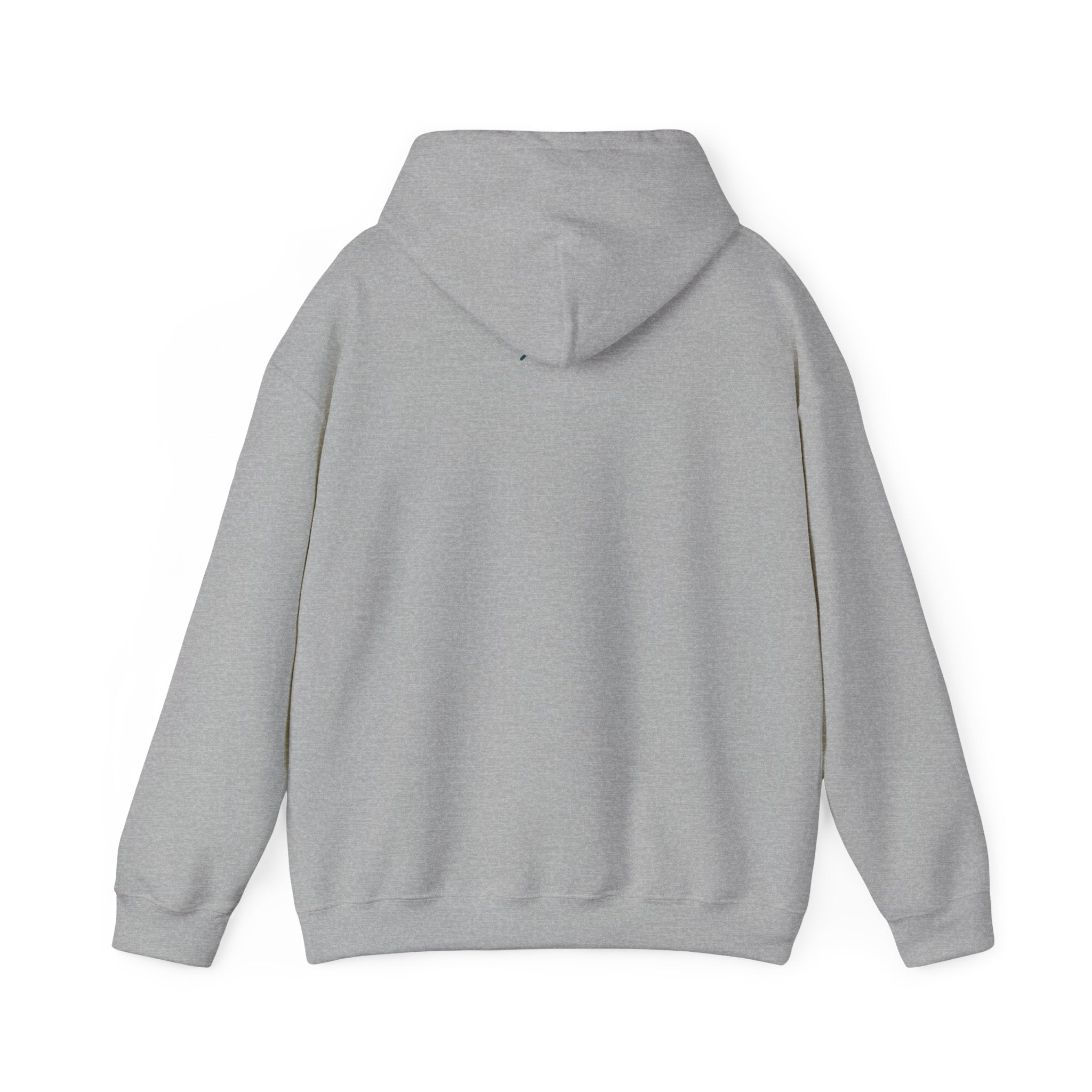 Inclusion Looks Good On You Hoodie - Inclusive Message Sweatshirt