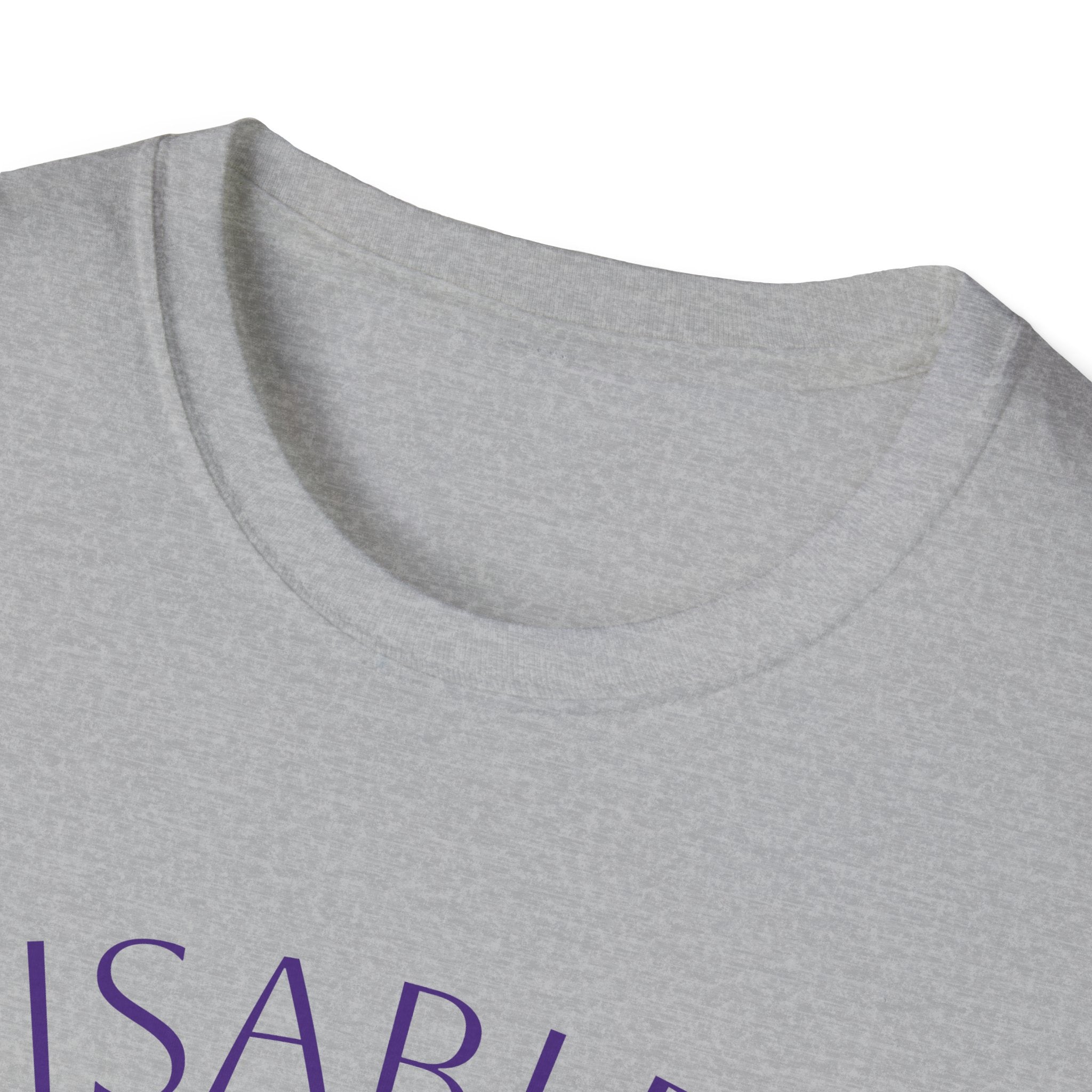 Disabled and Proud T-Shirt — Disability Pride Tee